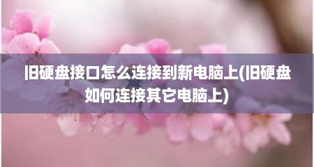 旧硬盘接口怎么连接到新电脑上(旧硬盘如何连接其它电脑上)