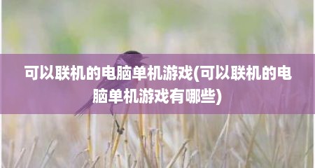 可以联机的电脑单机游戏(可以联机的电脑单机游戏有哪些)