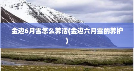 金边6月雪怎么养活(金边六月雪的养护)