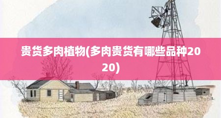 贵货多肉植物(多肉贵货有哪些品种2020)