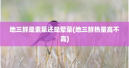 地三鲜是素菜还是荤菜(地三鲜热量高不高)