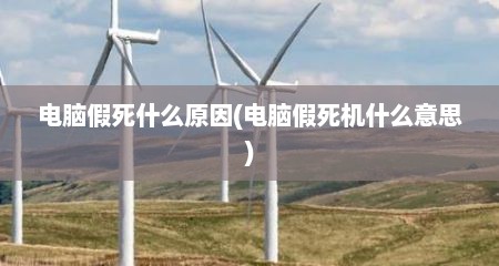 电脑假死什么原因(电脑假死机什么意思)