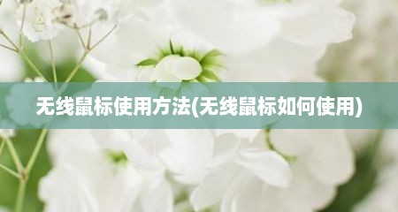 无线鼠标使用方法(无线鼠标如何使用)