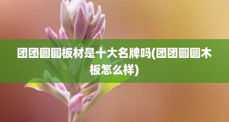 团团圆圆板材是十大名牌吗(团团圆圆木板怎么样)