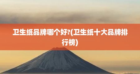 卫生纸品牌哪个好?(卫生纸十大品牌排行榜)