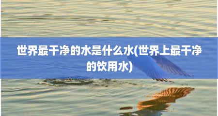 世界最干净的水是什么水(世界上最干净的饮用水)