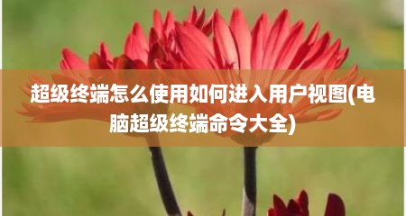 超级终端怎么使用如何进入用户视图(电脑超级终端命令大全)
