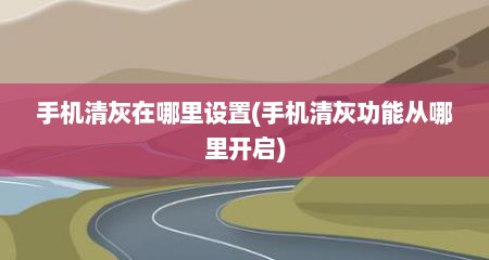 手机清灰在哪里设置(手机清灰功能从哪里开启)
