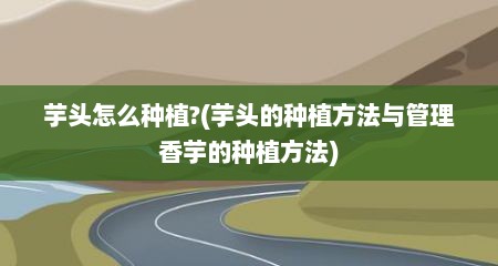 芋头怎么种植?(芋头的种植方法与管理香芋的种植方法)
