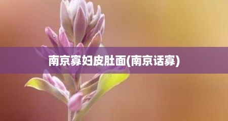 南京寡妇皮肚面(南京话寡)