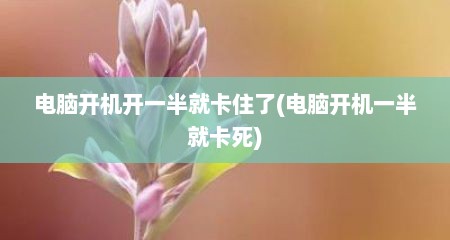 电脑开机开一半就卡住了(电脑开机一半就卡死)