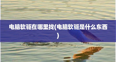 电脑软驱在哪里找(电脑软驱是什么东西)