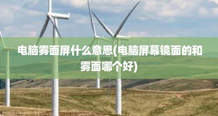 电脑雾面屏什么意思(电脑屏幕镜面的和雾面哪个好)