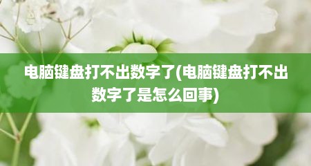 电脑键盘打不出数字了(电脑键盘打不出数字了是怎么回事)