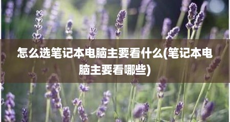 怎么选笔记本电脑主要看什么(笔记本电脑主要看哪些)
