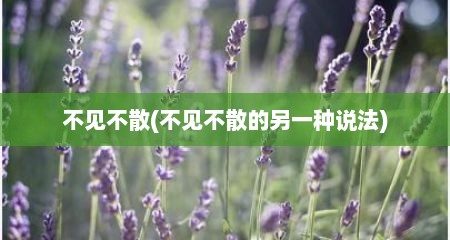 不见不散(不见不散的另一种说法)