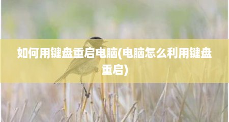 如何用键盘重启电脑(电脑怎么利用键盘重启)