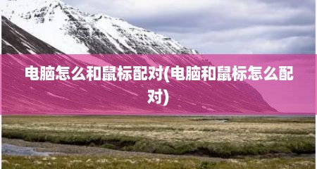 电脑怎么和鼠标配对(电脑和鼠标怎么配对)