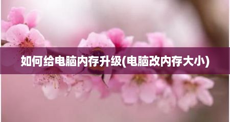 如何给电脑内存升级(电脑改内存大小)