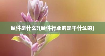 硬件是什么?(硬件行业的是干什么的)