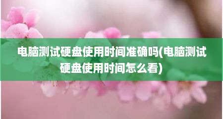 电脑测试硬盘使用时间准确吗(电脑测试硬盘使用时间怎么看)