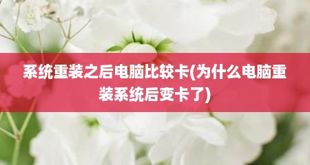 系统重装之后电脑比较卡(为什么电脑重装系统后变卡了)