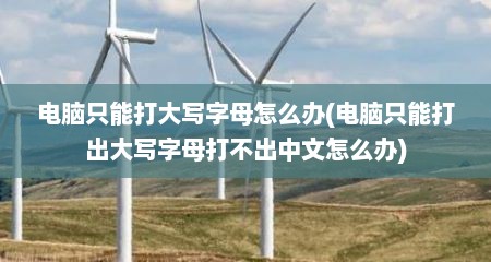 电脑只能打大写字母怎么办(电脑只能打出大写字母打不出中文怎么办)