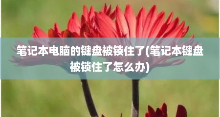 笔记本电脑的键盘被锁住了(笔记本键盘被锁住了怎么办)