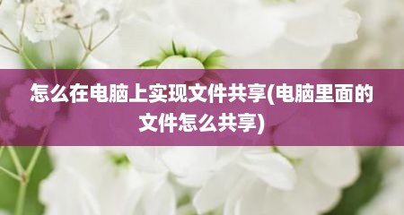 怎么在电脑上实现文件共享(电脑里面的文件怎么共享)