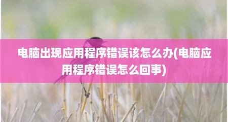 电脑出现应用程序错误该怎么办(电脑应用程序错误怎么回事)
