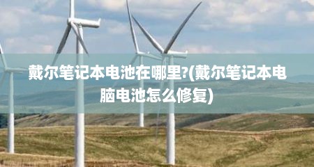 戴尔笔记本电池在哪里?(戴尔笔记本电脑电池怎么修复)