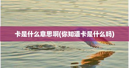 卡是什么意思啊(你知道卡是什么吗)