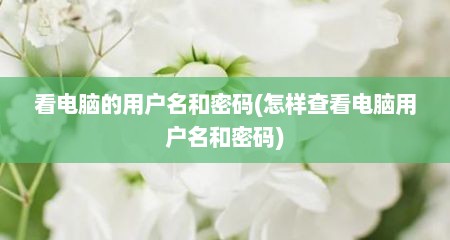 看电脑的用户名和密码(怎样查看电脑用户名和密码)