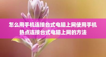 怎么用手机连接台式电脑上网使用手机热点连接台式电脑上网的方法
