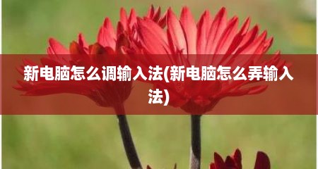 新电脑怎么调输入法(新电脑怎么弄输入法)