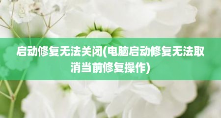 启动修复无法关闭(电脑启动修复无法取消当前修复操作)