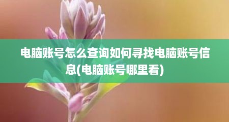 电脑账号怎么查询如何寻找电脑账号信息(电脑账号哪里看)
