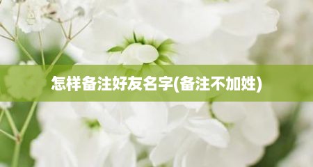 怎样备注好友名字(备注不加姓)