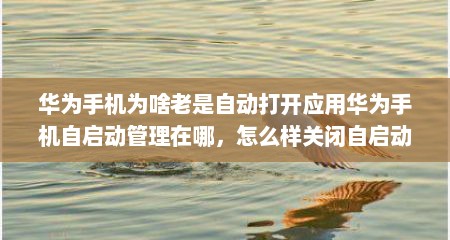 华为手机为啥老是自动打开应用华为手机自启动管理在哪，怎么样关闭自启动应用