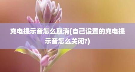 充电提示音怎么取消(自己设置的充电提示音怎么关闭?)
