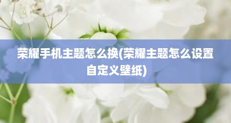 荣耀手机主题怎么换(荣耀主题怎么设置自定义壁纸)