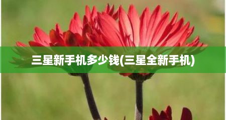三星新手机多少钱(三星全新手机)