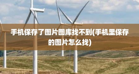 手机保存了图片图库找不到(手机里保存的图片怎么找)