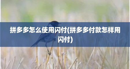 拼多多怎么使用闪付(拼多多付款怎样用闪付)