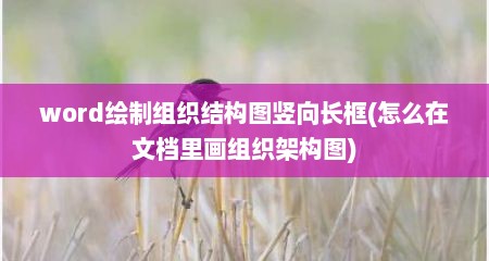 word绘制组织结构图竖向长框(怎么在文档里画组织架构图)