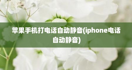 苹果手机打电话自动静音(iphone电话自动静音)