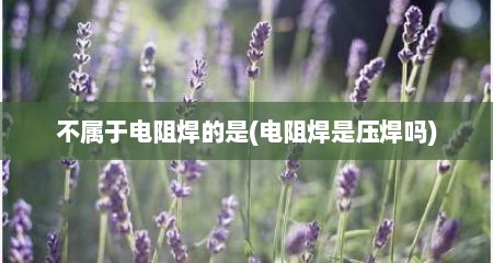 不属于电阻焊的是(电阻焊是压焊吗)