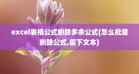 excel表格公式删除多余公式(怎么批量删除公式,留下文本)