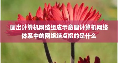 画出计算机网络组成示意图计算机网络体系中的网络结点指的是什么