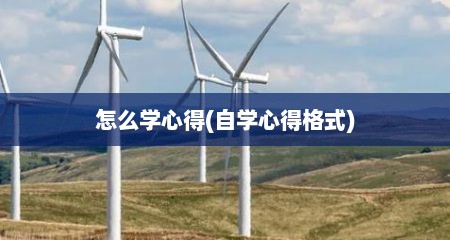 怎么学心得(自学心得格式)